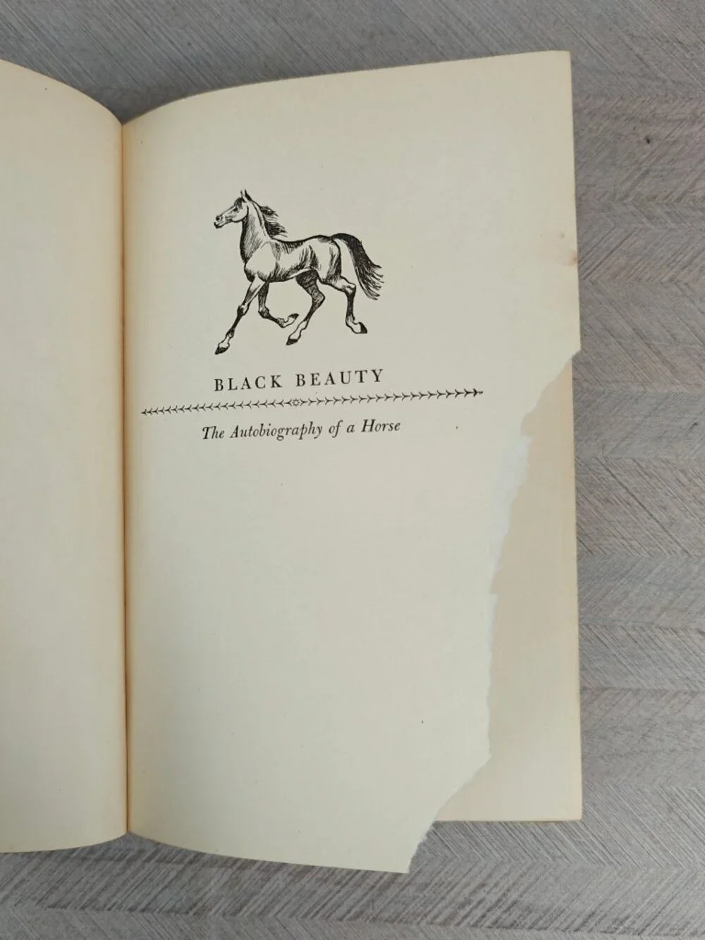 Black Beauty Anna Sewell Illustrated Junior Library Hardcover 1945